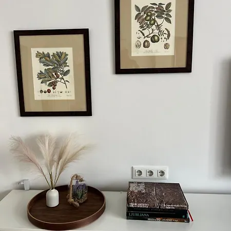 Trina In The Centre Apartman