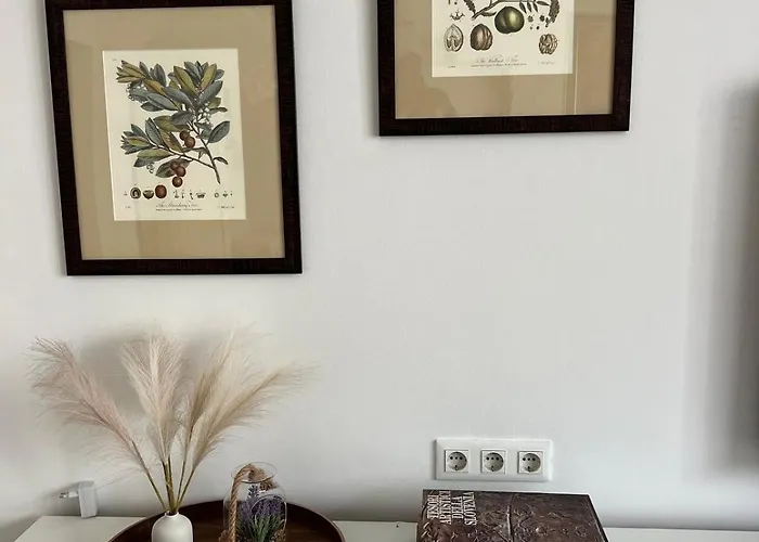 Trina In The Centre Appartement